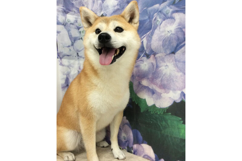 画像12864