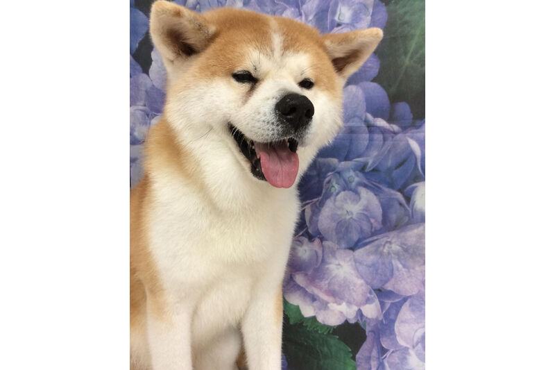 画像12923
