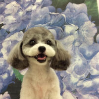 画像12960