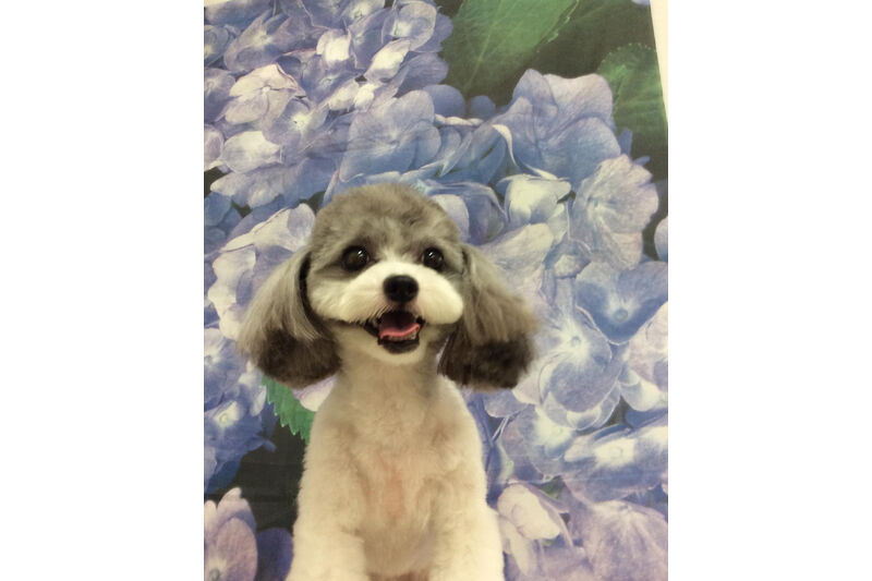 画像12960