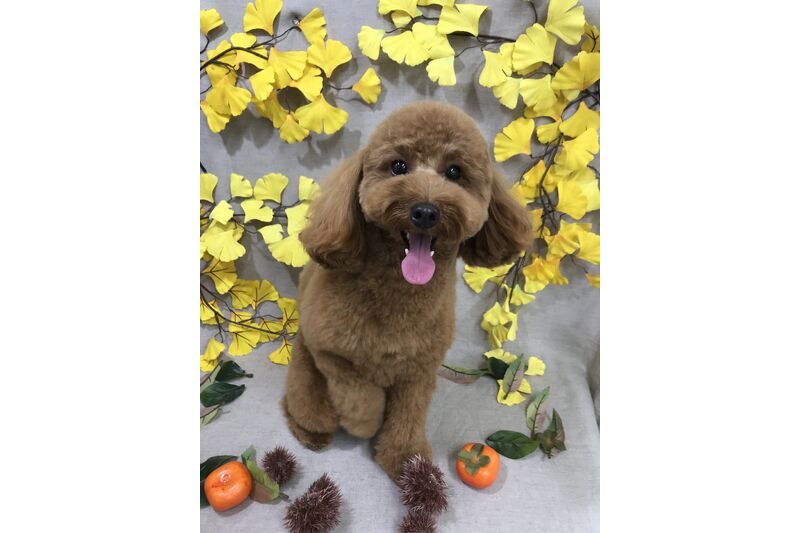 画像1301