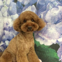 画像13031