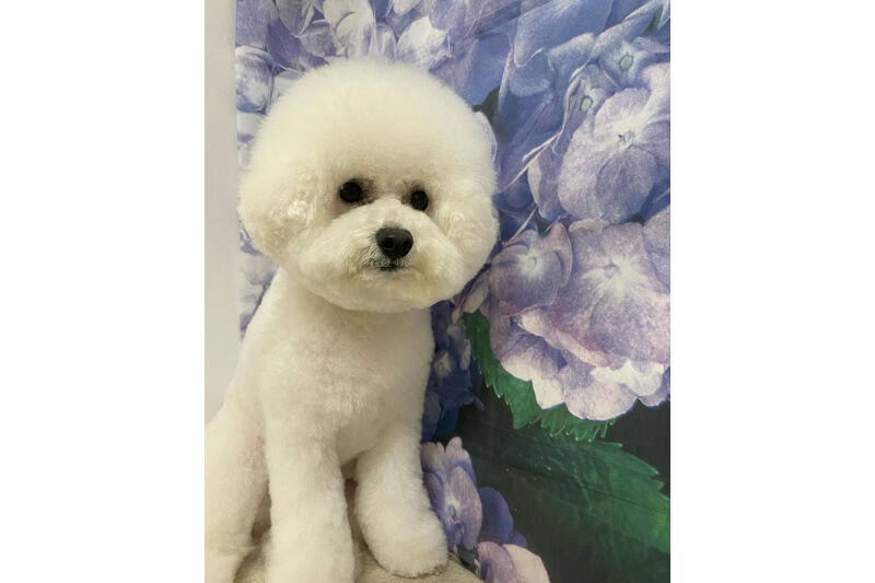画像13035
