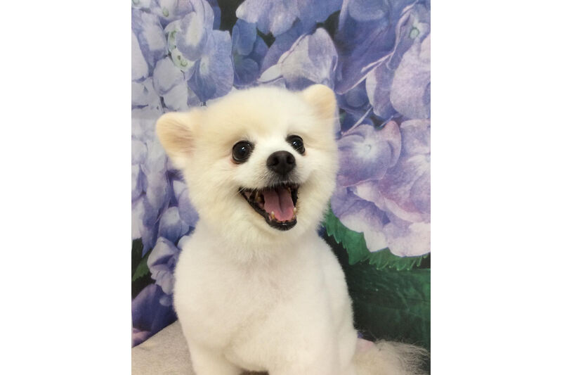 画像13048