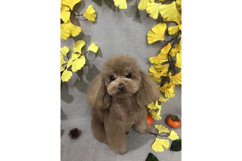 画像1305