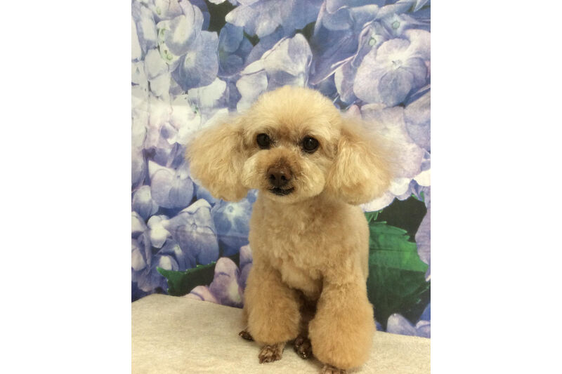 画像13050