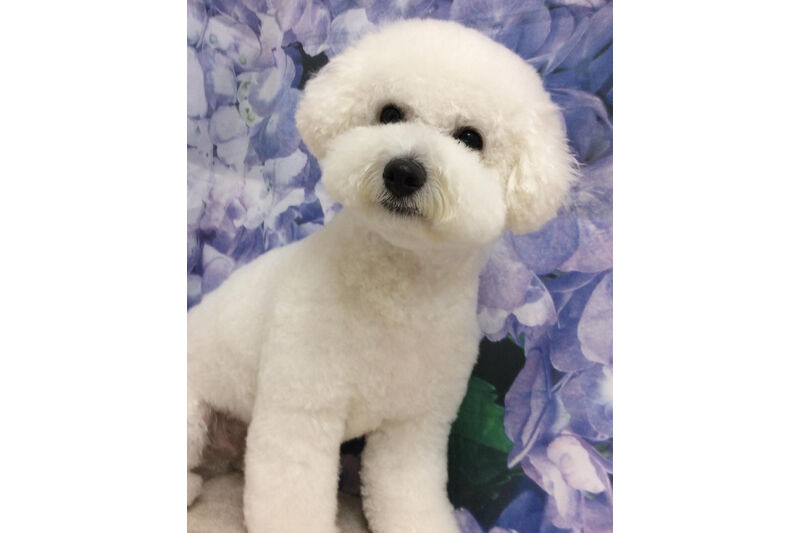画像13052