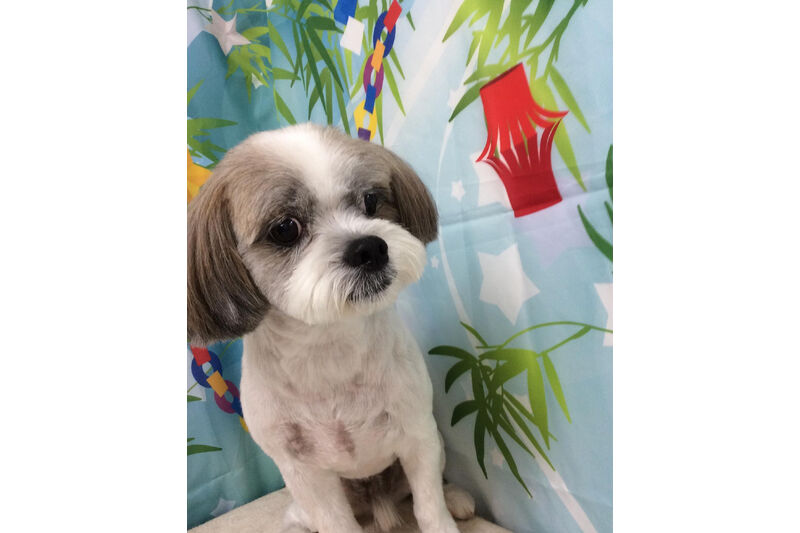 画像13056