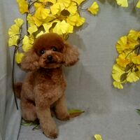 画像1307