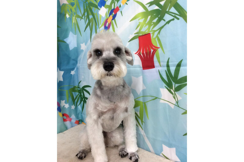 画像13072