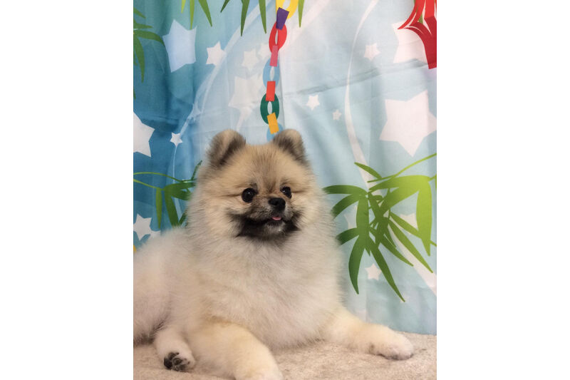 画像13219