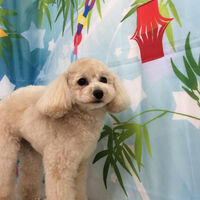画像13236