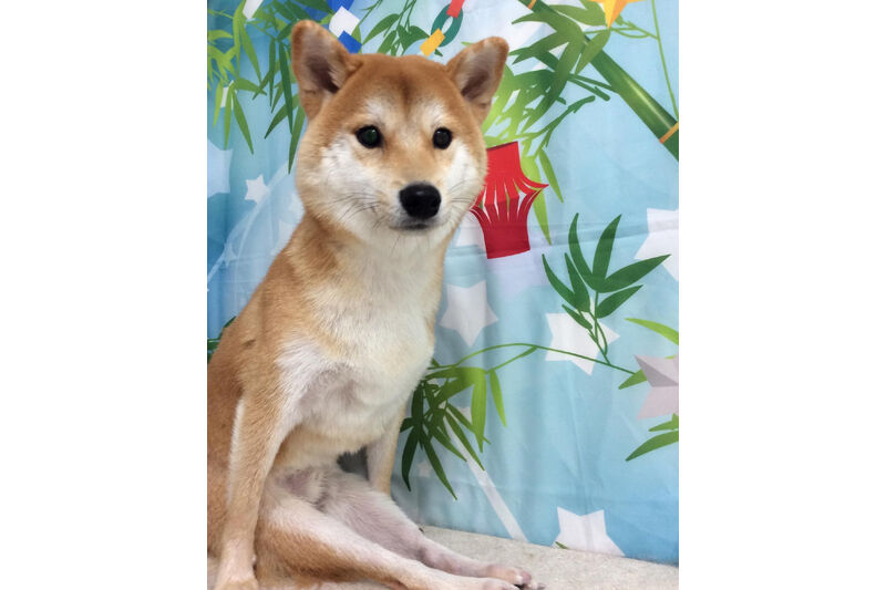 画像13304