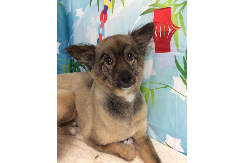 画像13465