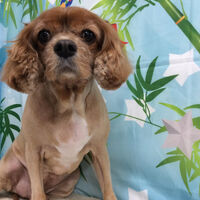 画像13503