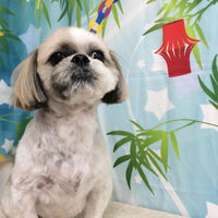 画像13605