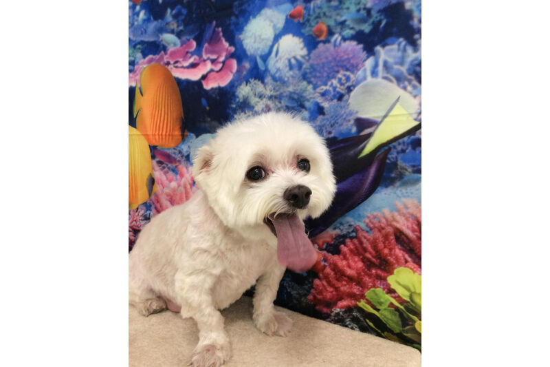 画像13719