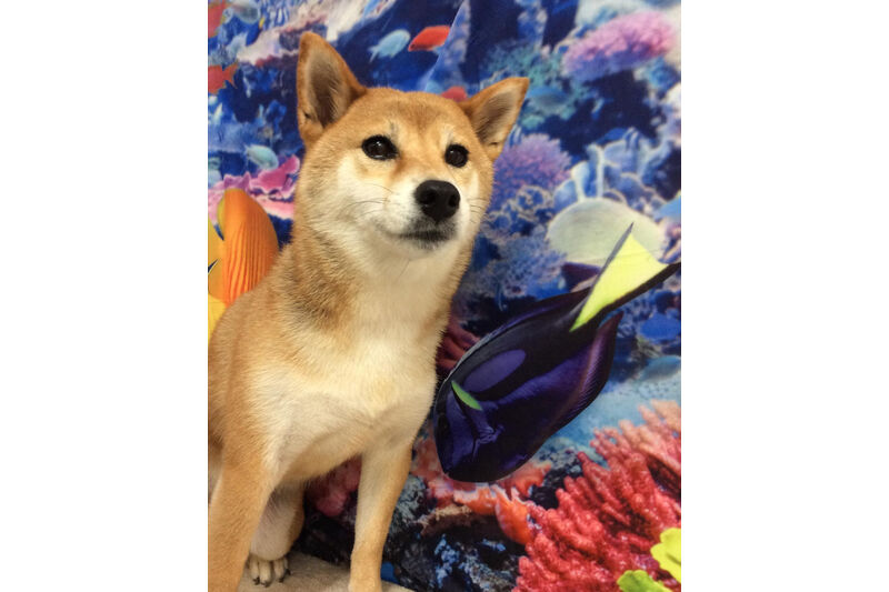画像13765