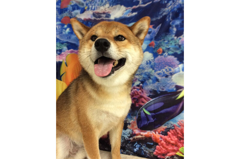 画像13777