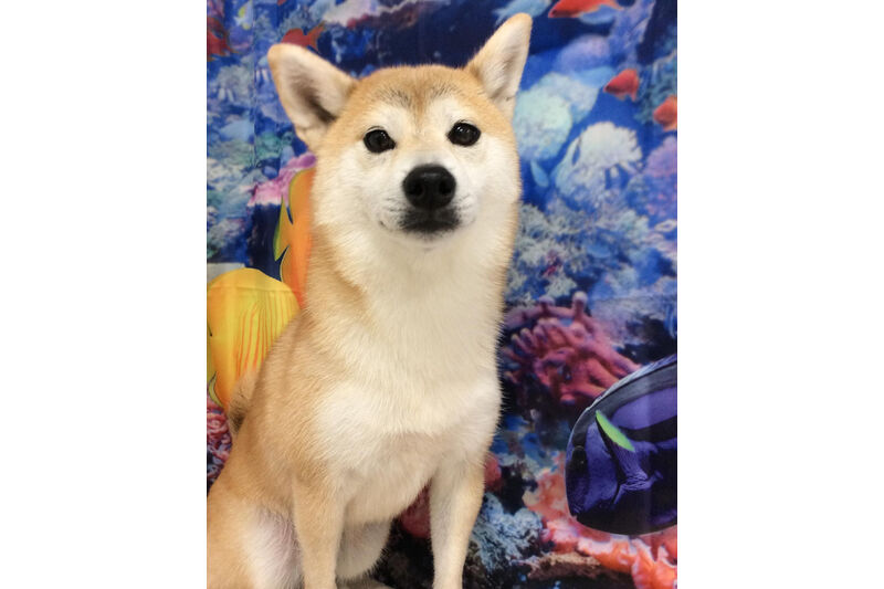 画像13839