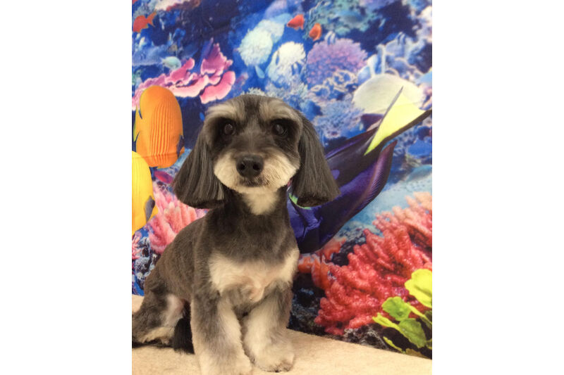 画像13983