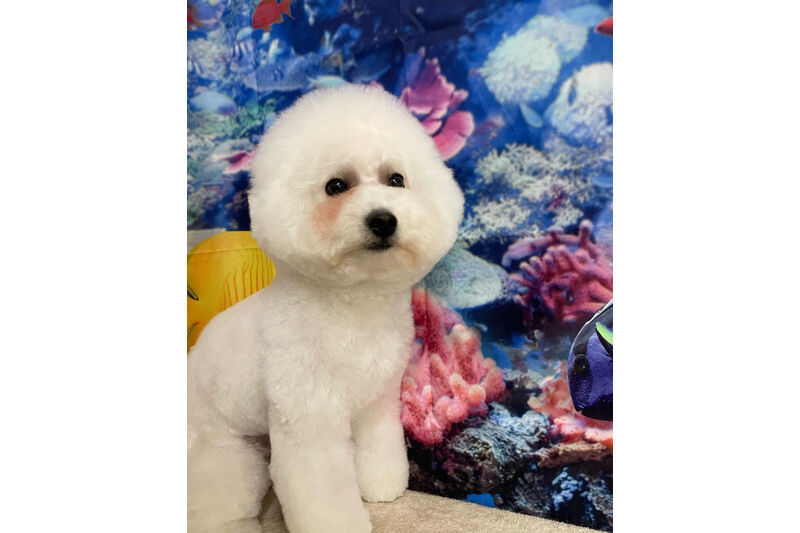 画像14020