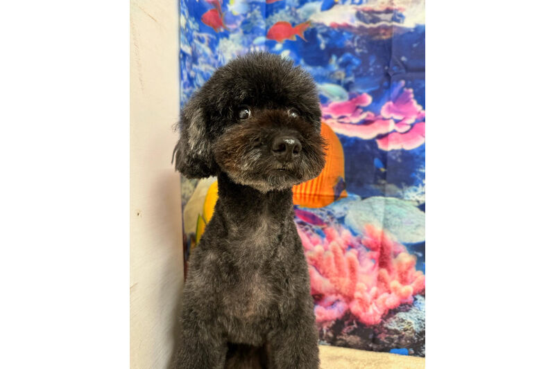 画像14043