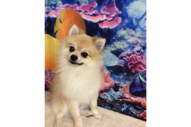 画像14049