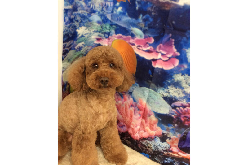 画像14053