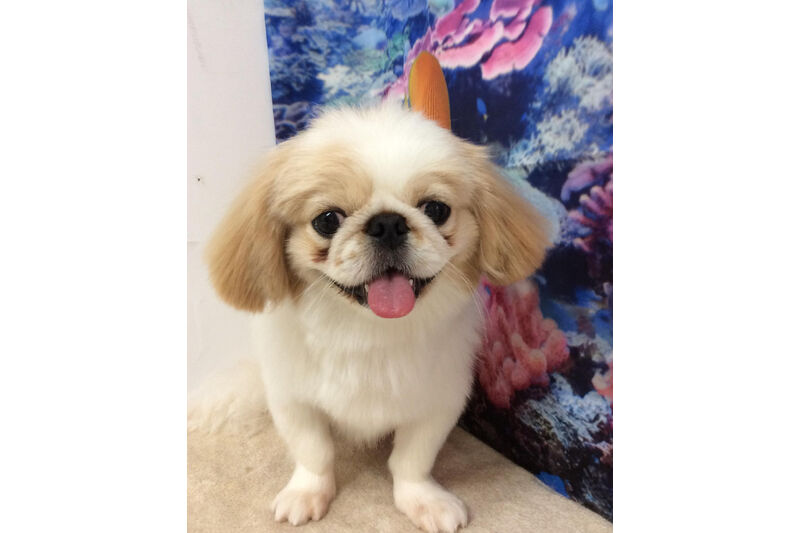 画像14057