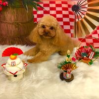 画像1409