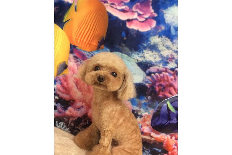 画像14097