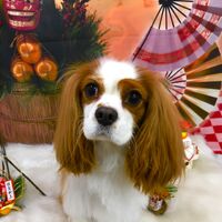 画像1413