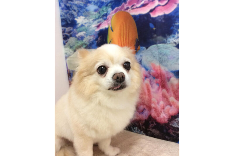 画像14164