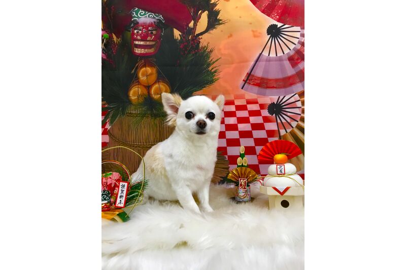 画像1425