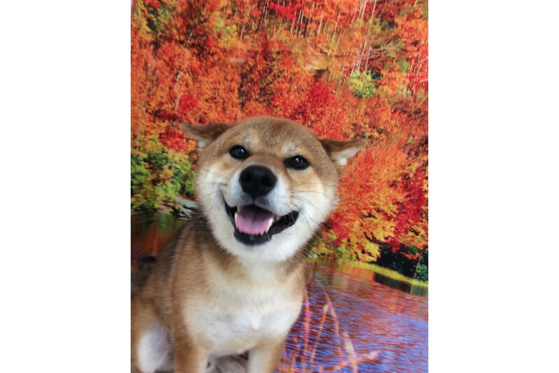 画像14366