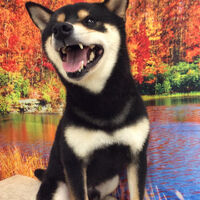画像14368