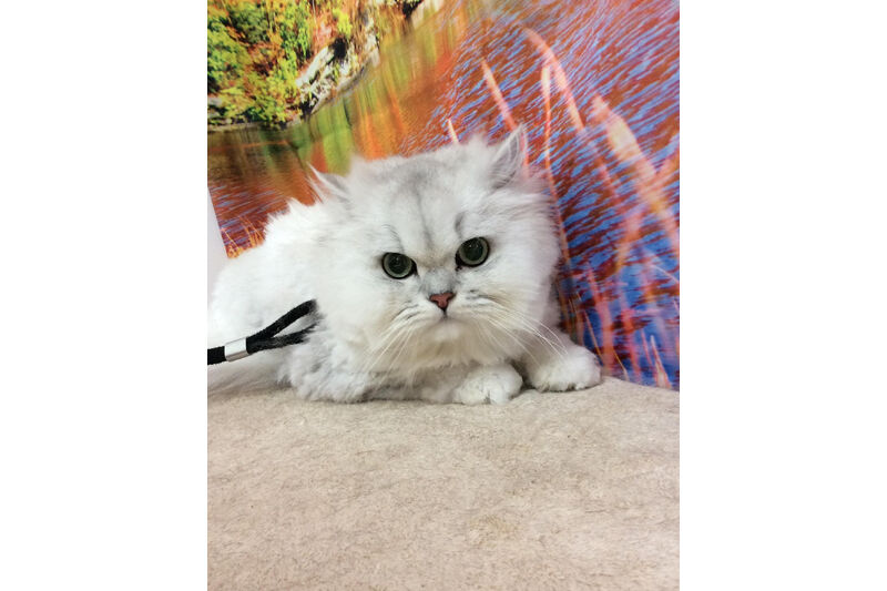 画像14616