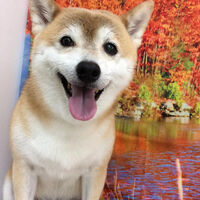 画像14713