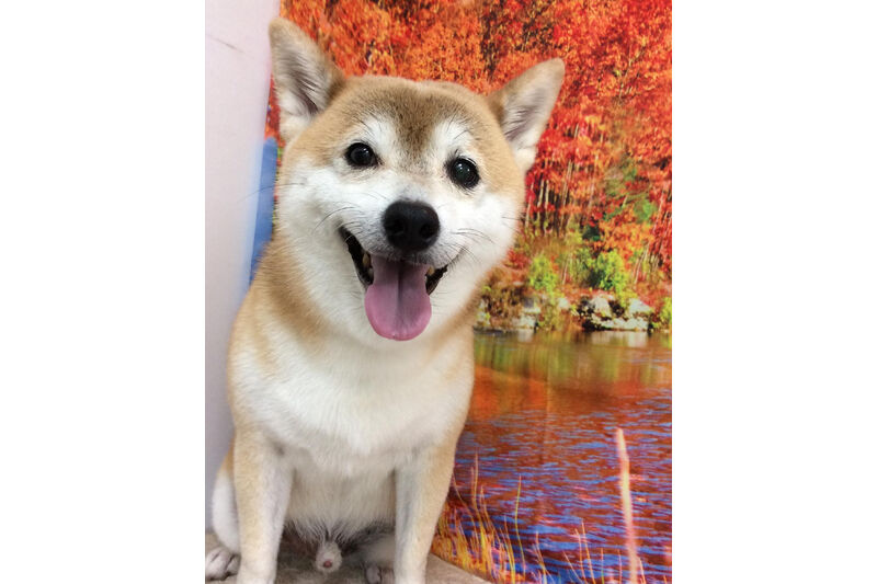 画像14713
