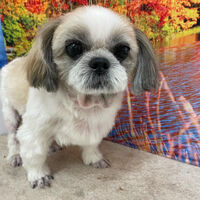 画像14715