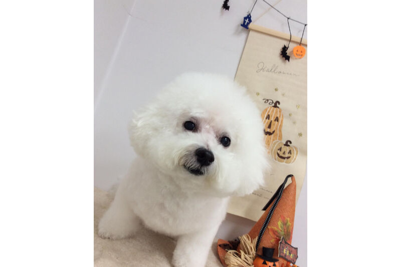画像14847