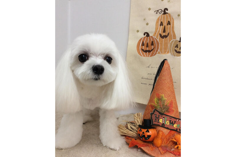 画像15018