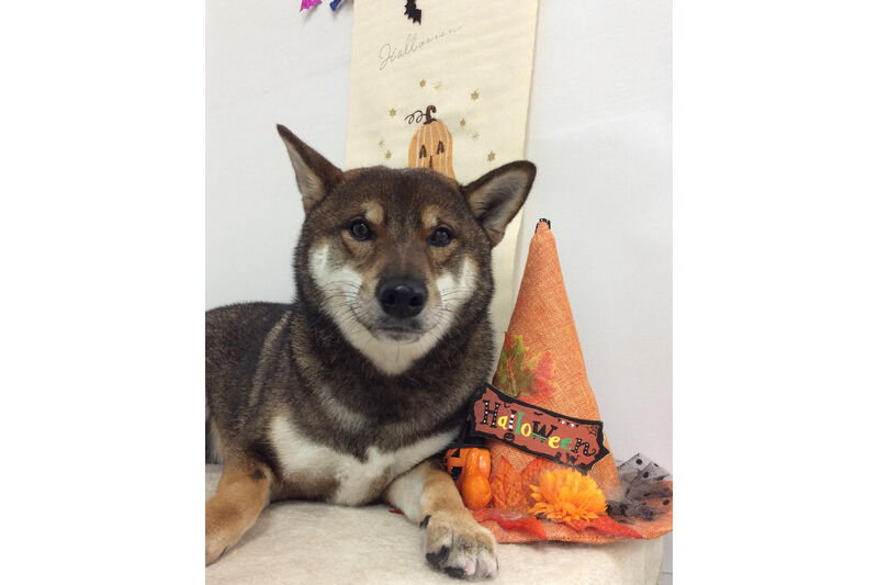 画像15045
