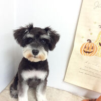 画像15096