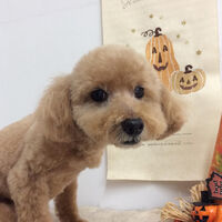 画像15121