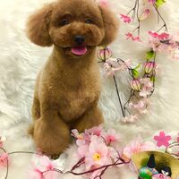 画像1547