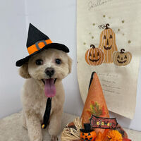 画像15583