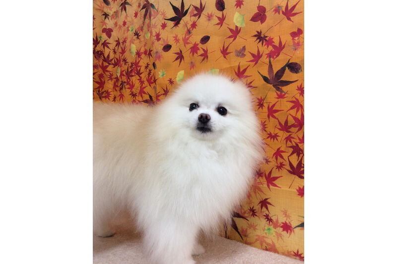 画像15719