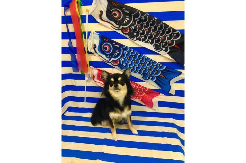 画像1629